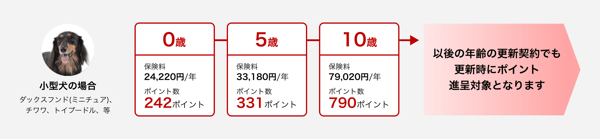 小型犬の場合(ダックスフンド(ミニチュア)、チワワ、トイプードル、等)0歳:保険料24,220円/年 ポイント数242ポイント→5歳:保険料33,180円/年 ポイント数331ポイント→10歳:保険料79,020円/年 ポイント数790ポイント→以後の年齢の更新契約でも更新時にポイント進呈対象となります