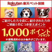 【ご紹介キャンペーン】紹介された方が新規で保険にご契約いただくと紹介した方に最大10,000ポイントプレゼント(※)※1名様紹介で楽天ポイント1,000ポイント、1か月最大10名までご紹介いただけます。※保険成約のほか条件があります。