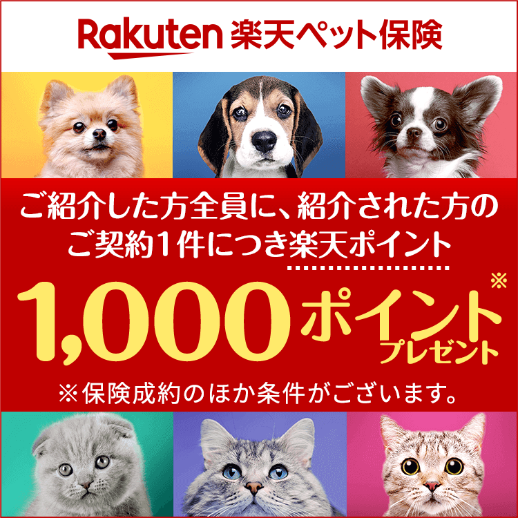【ご紹介キャンペーン】紹介された方が新規で保険にご契約いただくと紹介した方に最大10,000ポイントプレゼント(※)※1名様紹介で楽天ポイント1,000ポイント、1か月最大10名までご紹介いただけます。※保険成約のほか条件があります。