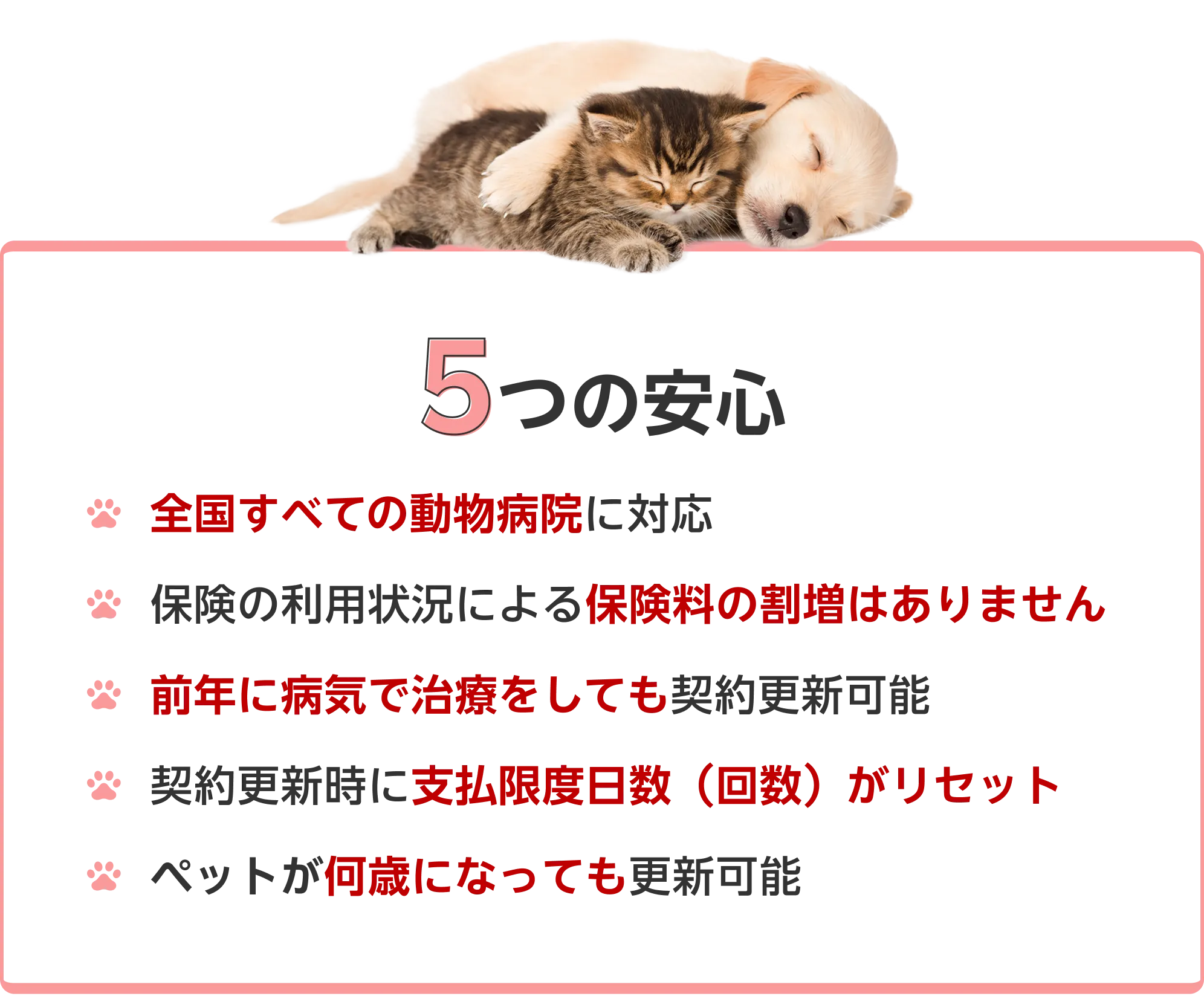 5つの安心 1.全国すべての動物病院に対応 2.保険の利用状況による保険料の割増はありません 3.前年に病気で治療をしても契約更新可能 4.契約更新時に支払限度日数(回数)がリセット 5.ペットが何歳になっても更新可能