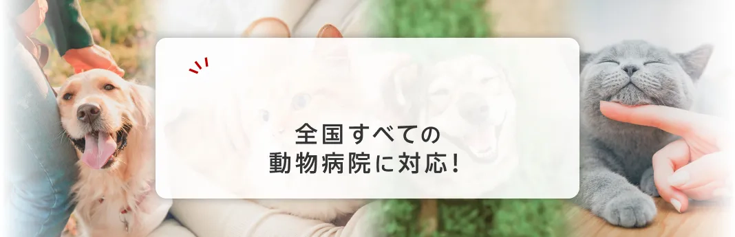 全国すべての動物病院に対応！
